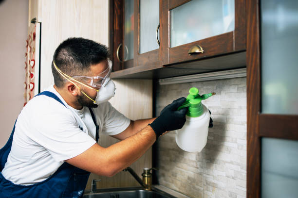 Best Affordable Pest Control Services  in Wheatland, WY