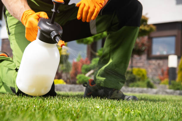 Pest Control Cost in Wheatland, WY