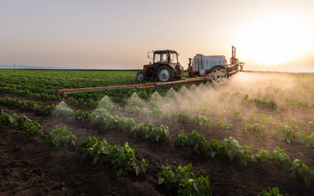 Best Best Pest Control Companies  in Wheatland, WY
