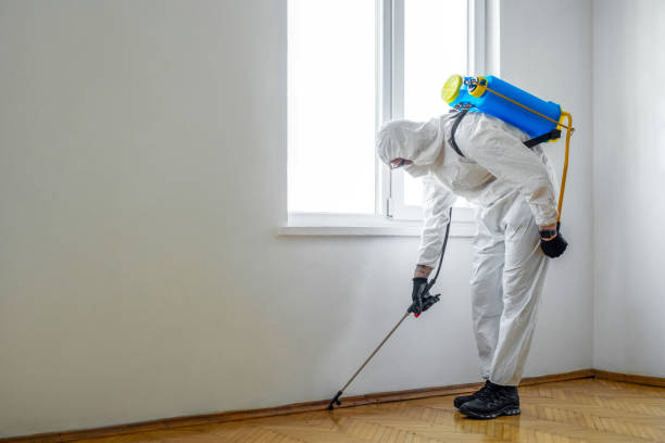 Best Termite Control Services  in Wheatland, WY