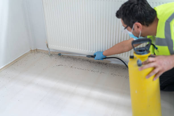 Best Residential Pest Control  in Wheatland, WY